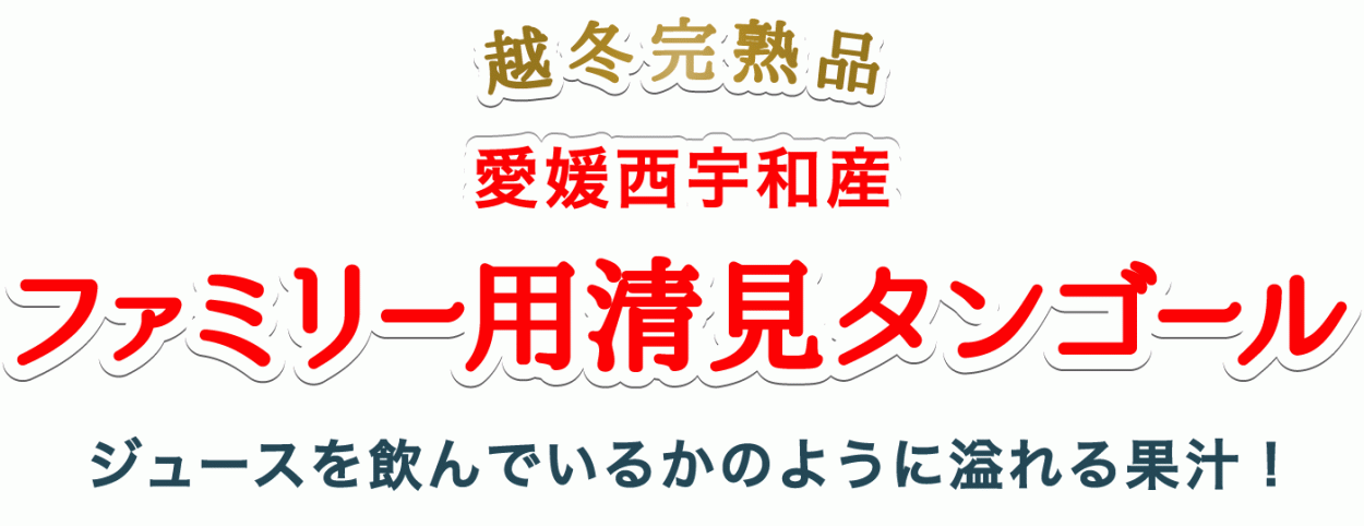 タイトル