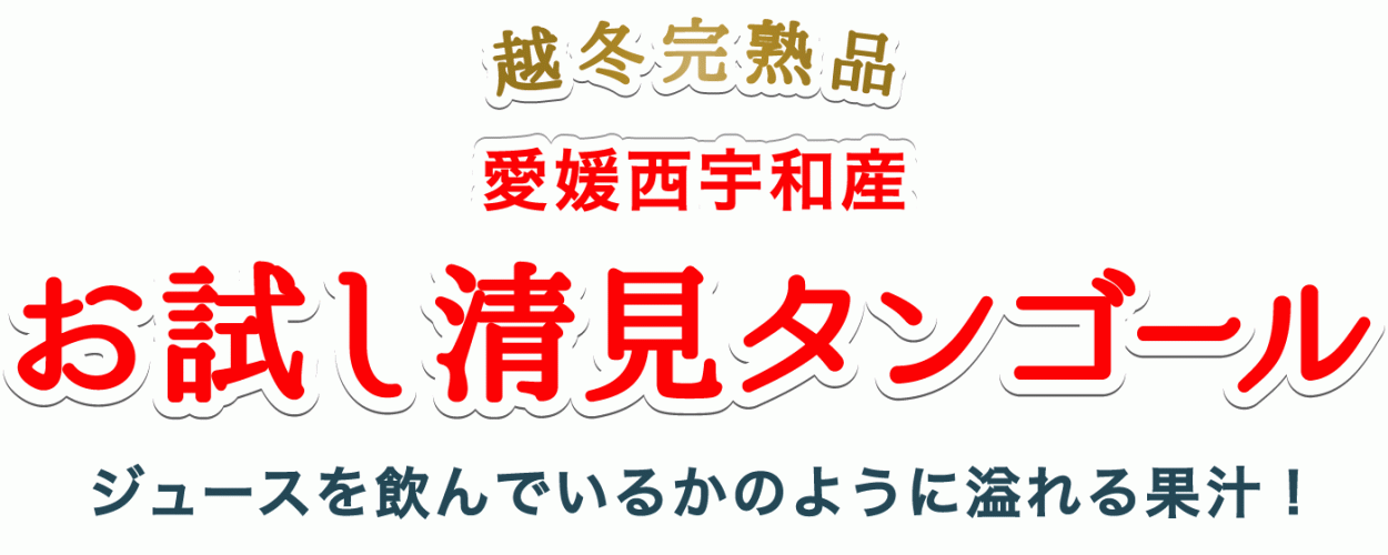 タイトル