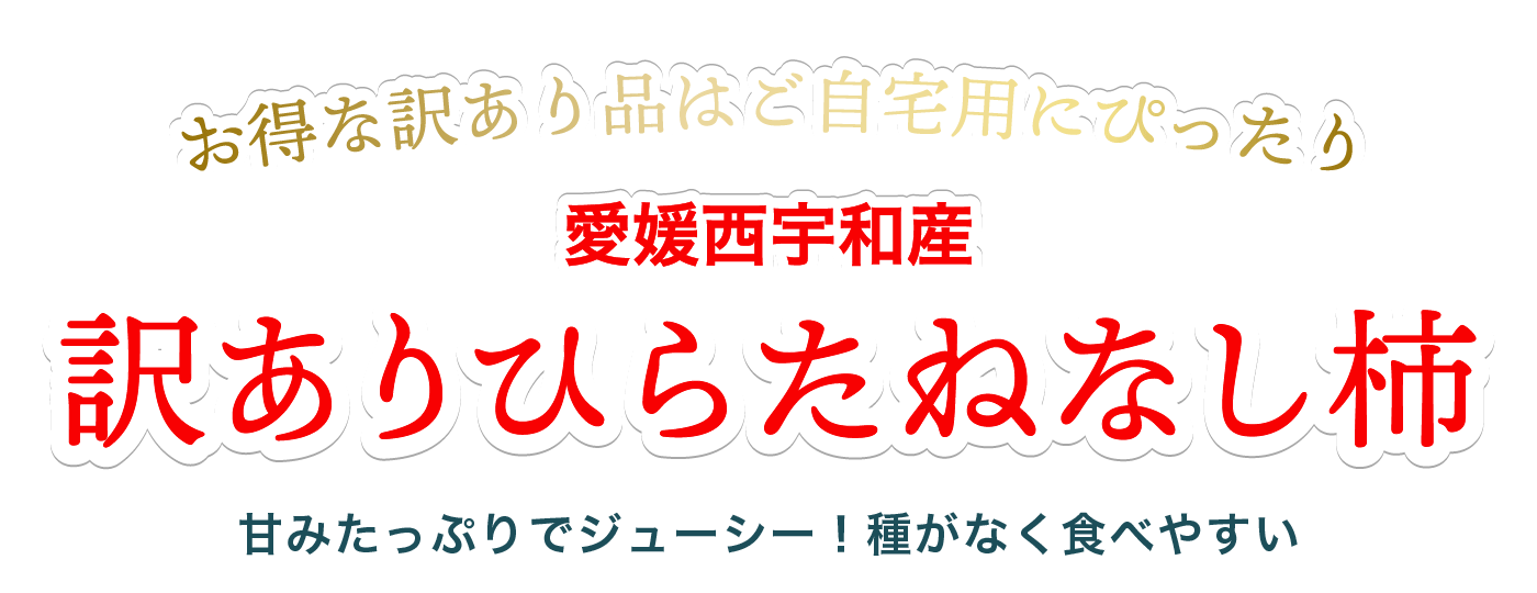 訳ありひらたねなし柿