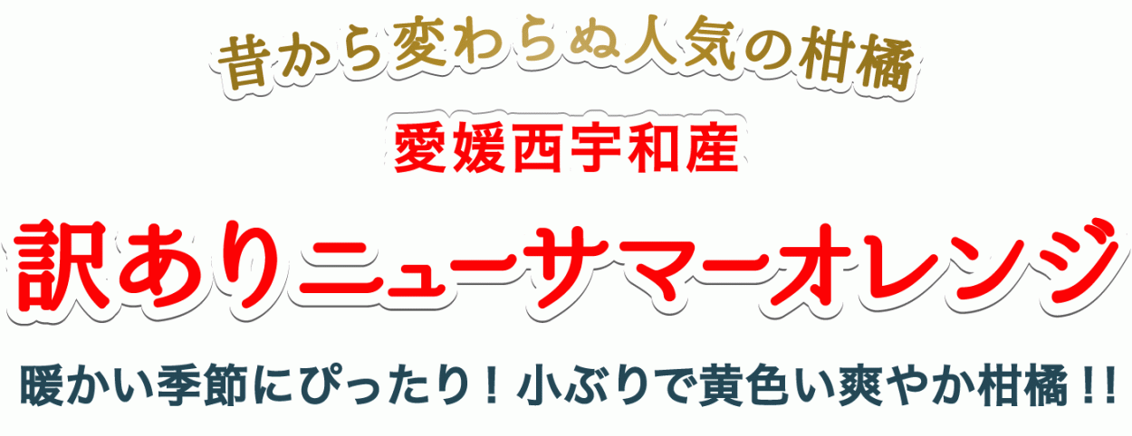タイトル