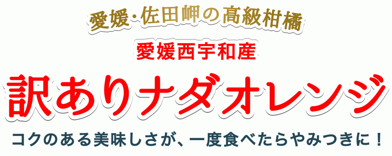 タイトル