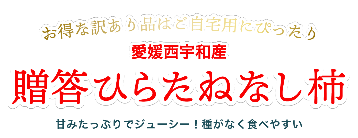 贈答用ひらたねなし柿