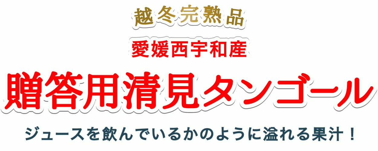 タイトル