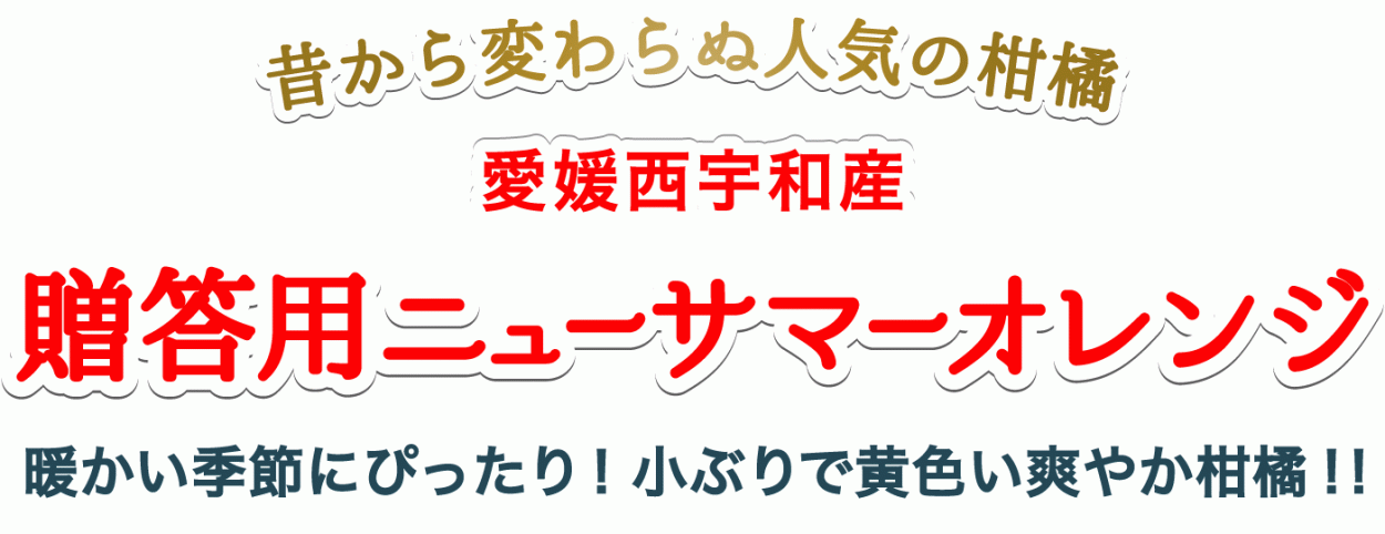 タイトル