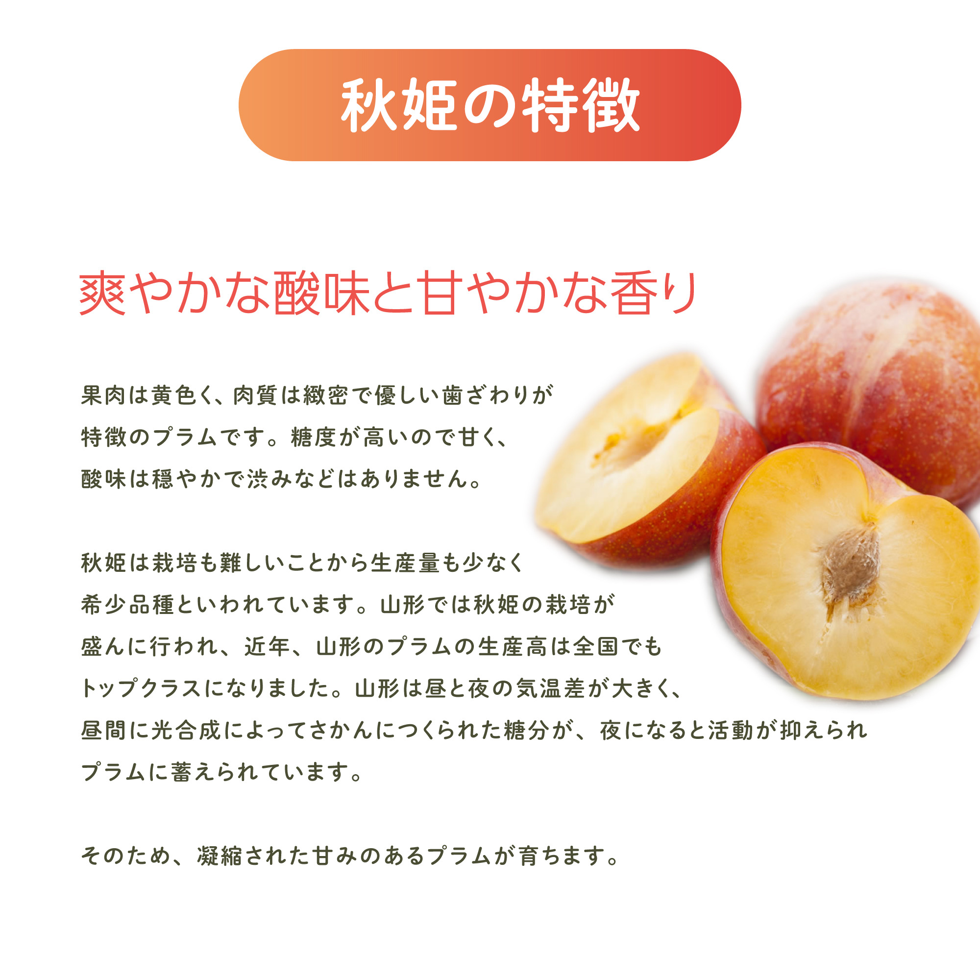 特徴
