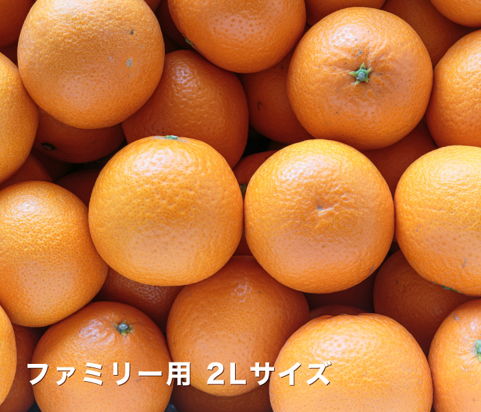 ファミリー清見タンゴール