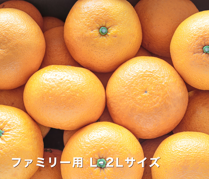 ファミリーイメージ