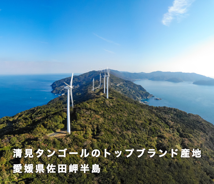 畑