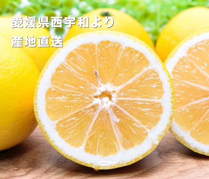 小夏