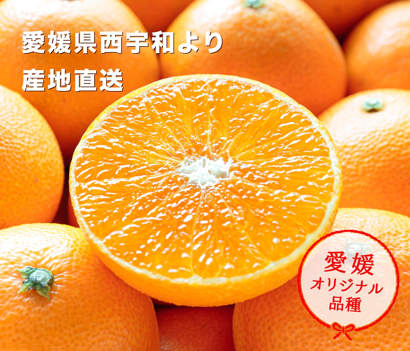 訳あり愛媛まどんな3」【送料無料】【訳あり】【産地直送】愛媛ま