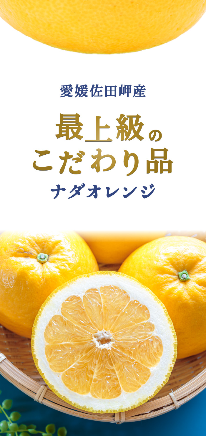 最上級ナダオレンジ
