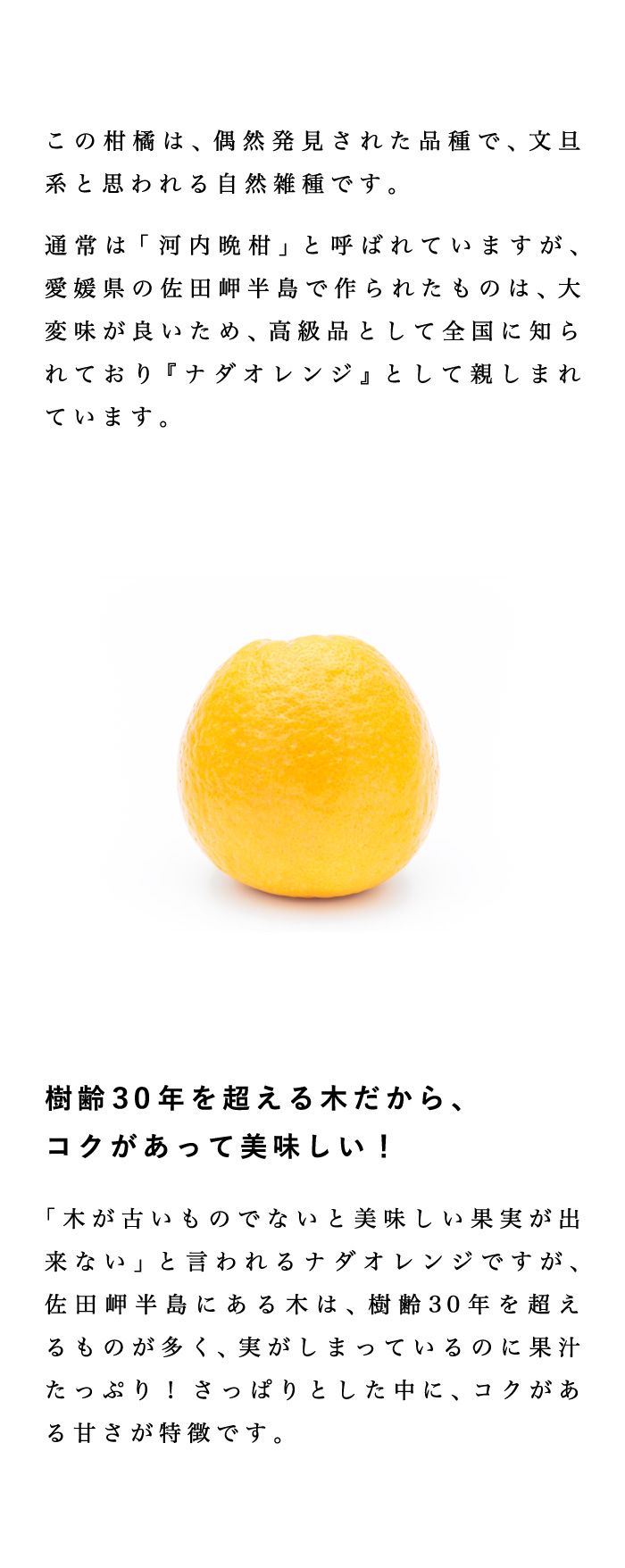説明