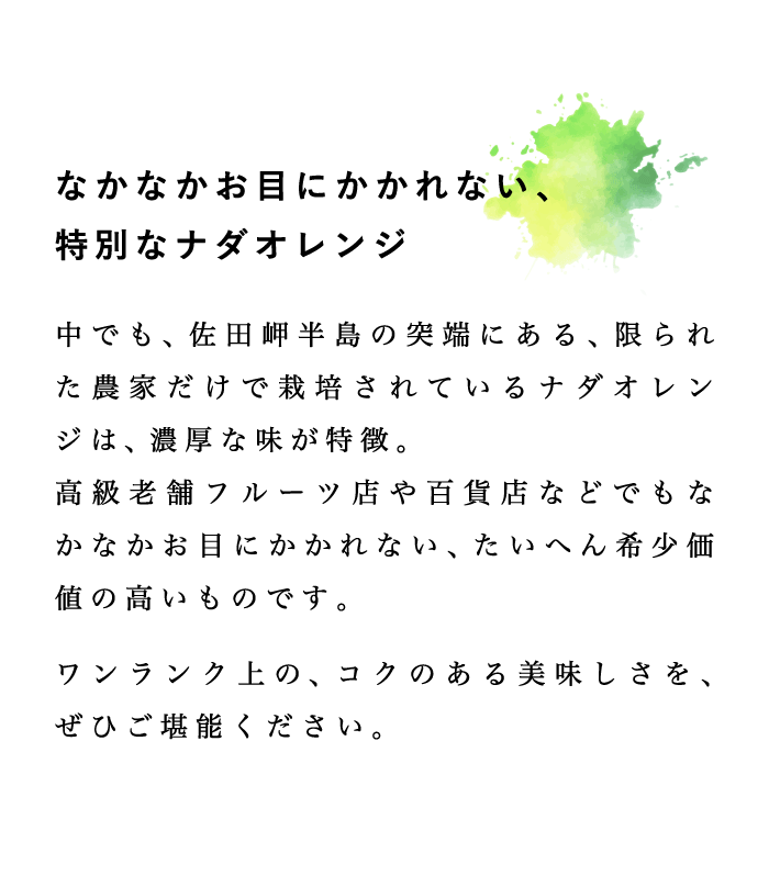 特別なナダオレンジ