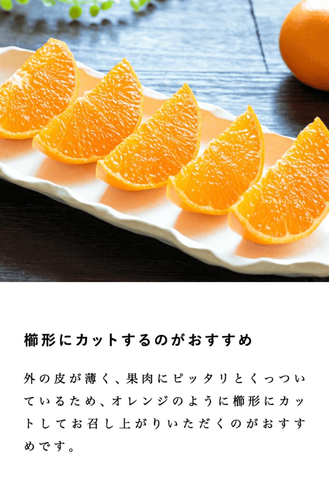 訳ありせとか3」【送料無料】【産地直送】訳あり 愛媛西宇和産 せとか