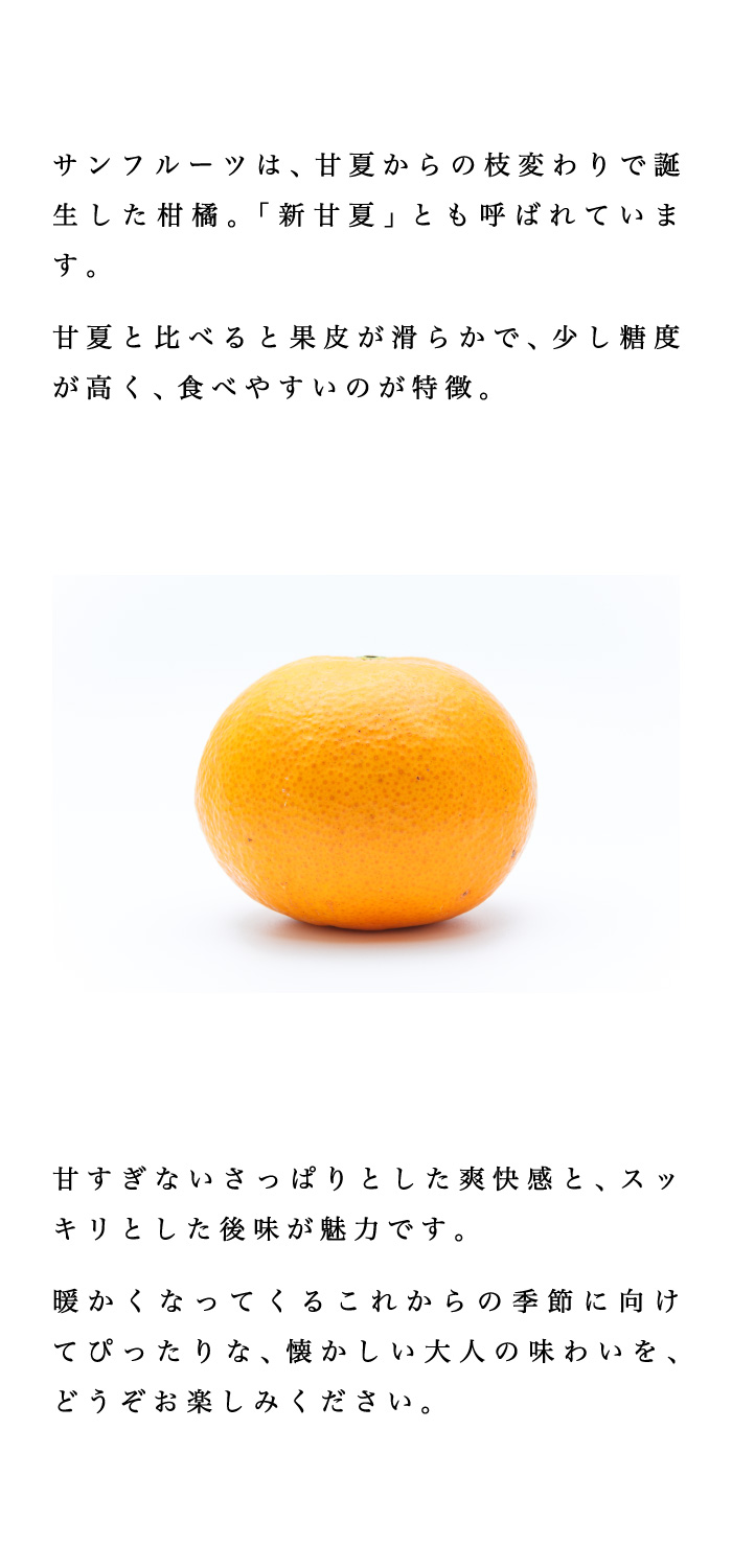 説明