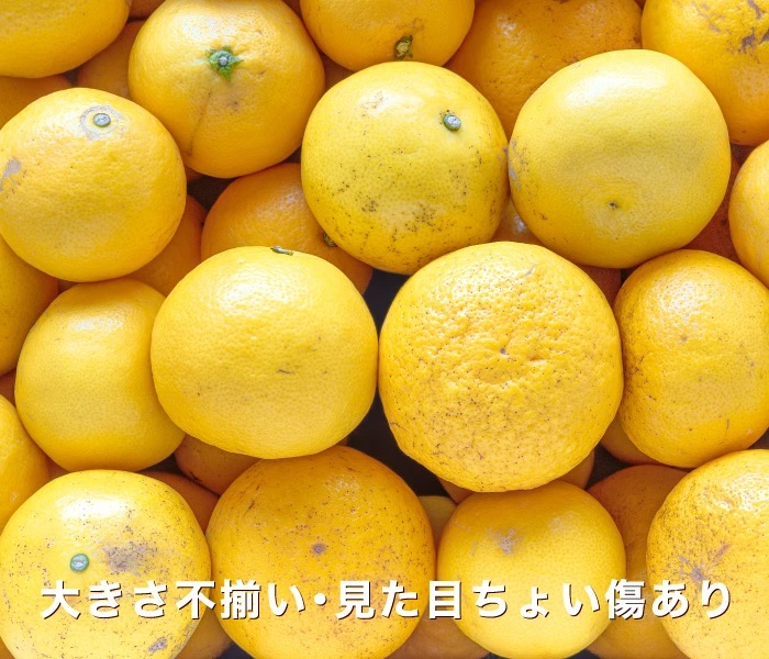 訳ありイメージ