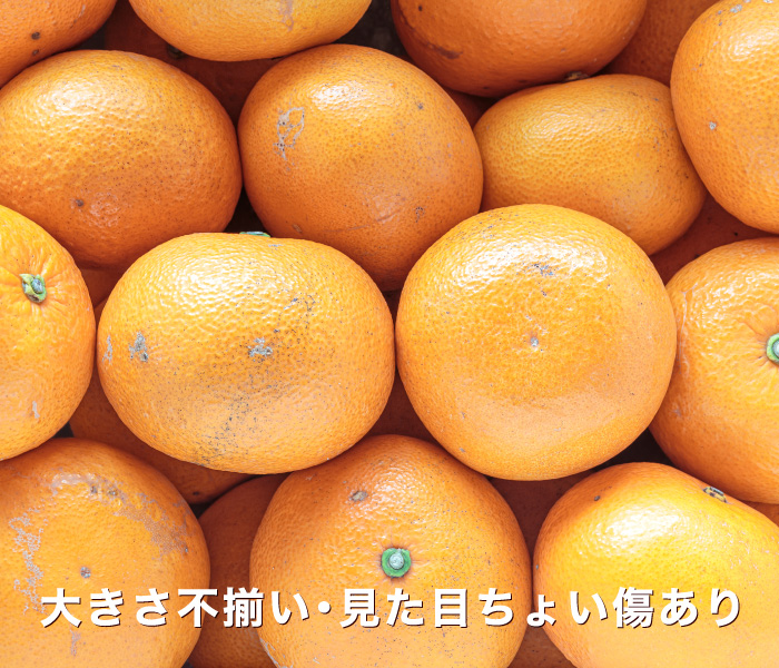 訳ありイメージ