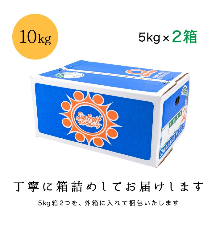愛媛県西宇和産　はるか訳あり約10㎏×2箱 酸味が苦手な方にもおすすめの柑橘・はるかを愛媛西宇和地方より