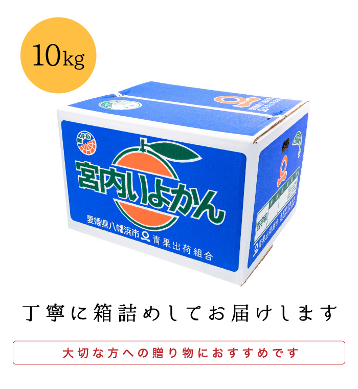 りちゃん　伊予柑10キロ 23箱 楽天市場】いよかん 10kgの通販