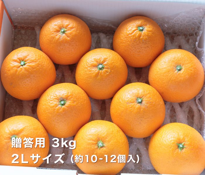 贈答清見タンゴール