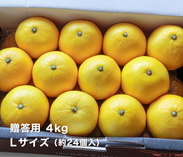 贈答4kgイメージ