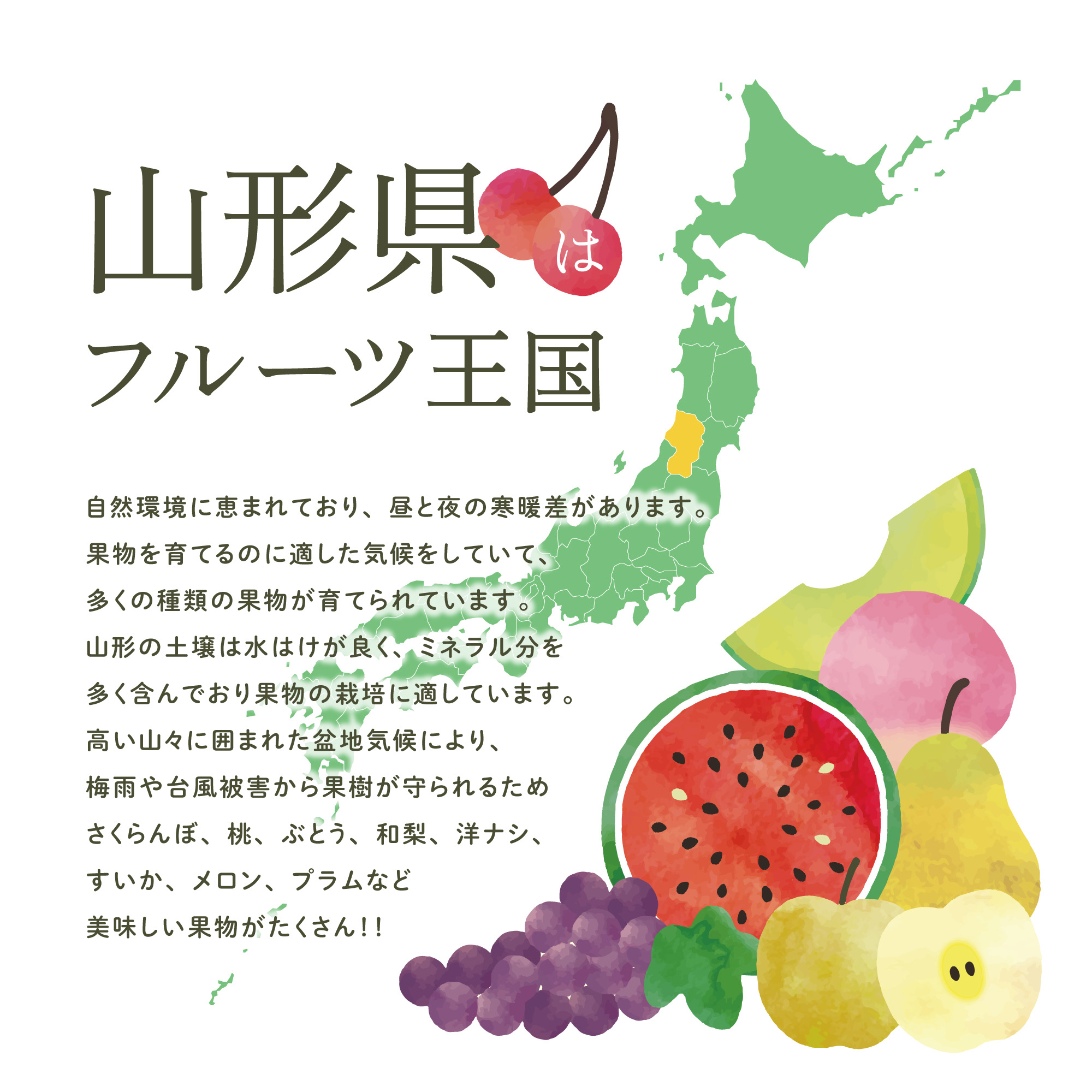 フルーツ王国山形
