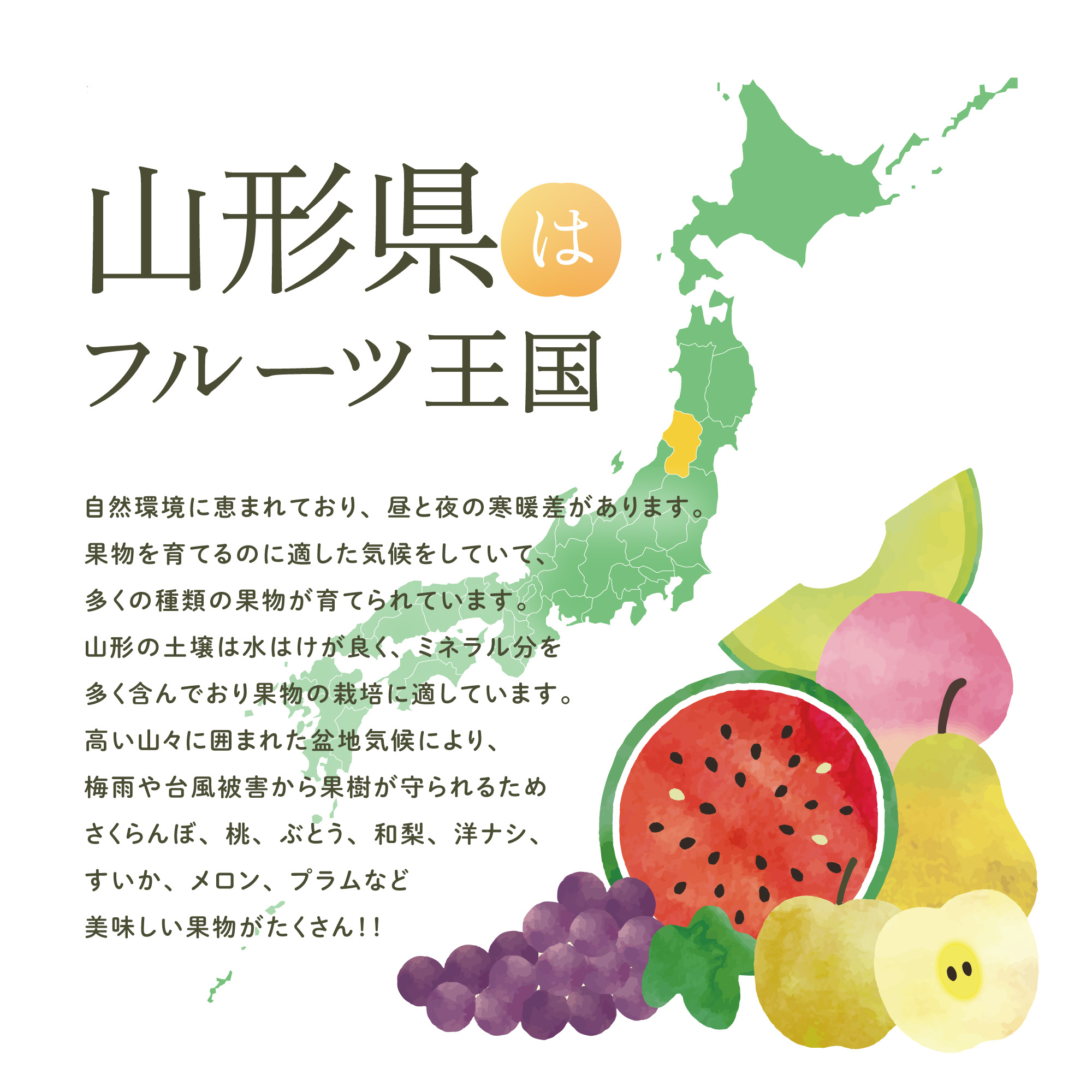 フルーツ王国山形