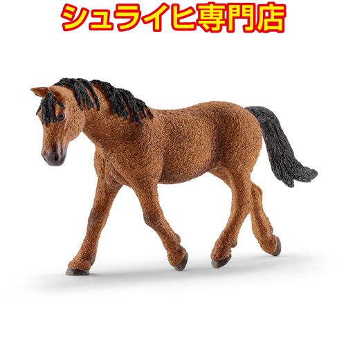 希少 ブレイヤー 馬 フィギュア オータムシマー 限定 2006年 シュライヒ専門店】シュライヒ バシキールカーリー馬 メス 13780 動物