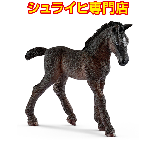 シュライヒ ファームワールド アハルテケ馬 (仔) フィギュア 13702 g6bh9ry Amazon.co.jp: シュライヒ ファームワールド アハルテケ馬 (オス