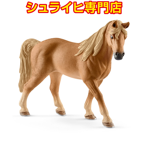 13833_s.jpg