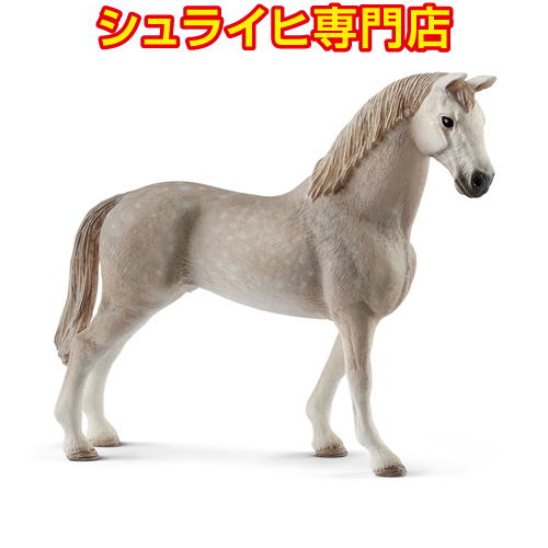 シュライヒ専門店】シュライヒ ホルシュタイン馬 オス 13859 動物