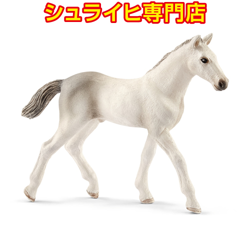 シュライヒ専門店】シュライヒ ホルシュタイン馬 メス 13858 動物