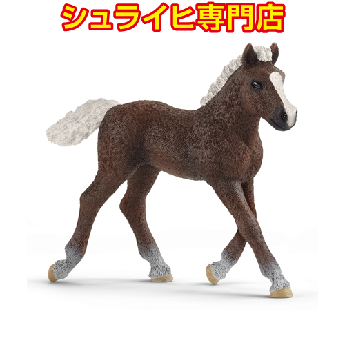 シュライヒ専門店】シュライヒ テネシーウォーカー馬 メス 13833