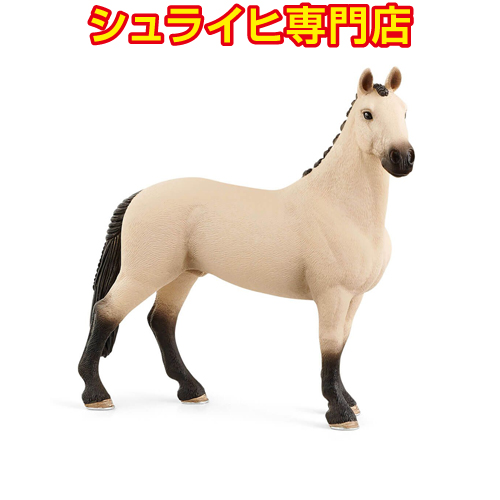 シュライヒ専門店】シュライヒ アメリカンサドルブレッド オス 13913