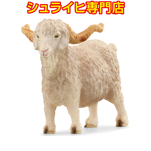 サファリ社フィギュア 161429 ヒツジ（オス） qqffhab Amazon.co.jp: Safari Wild Safari WildLife (ワイルド サファリ