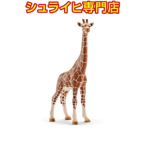 シュライヒ専門店】シュライヒ アフリカ象 オス 14762 動物フィギュア