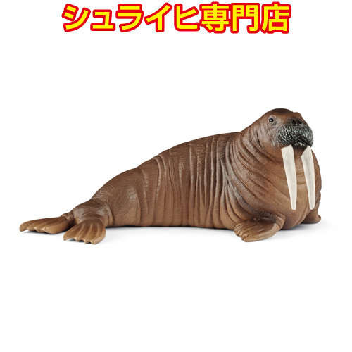 シュライヒ専門店】シュライヒ アザラシ 14801 動物フィギュア