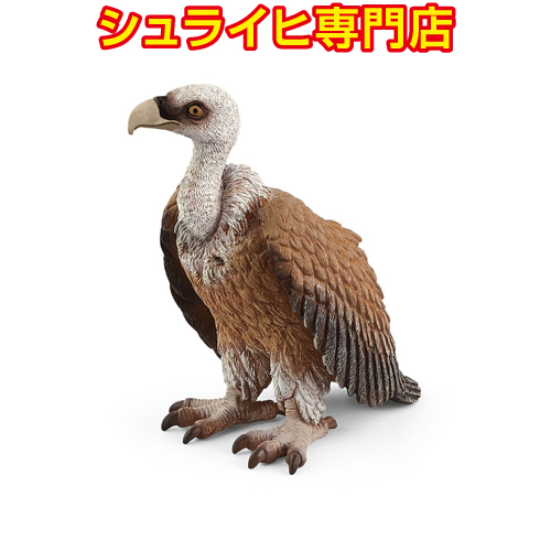シュライヒ ワイルドライフ コンゴウインコ フィギュア 14737 qqffhab Amazon.co.jp: シュライヒ ワイルドライフ コンゴウインコ