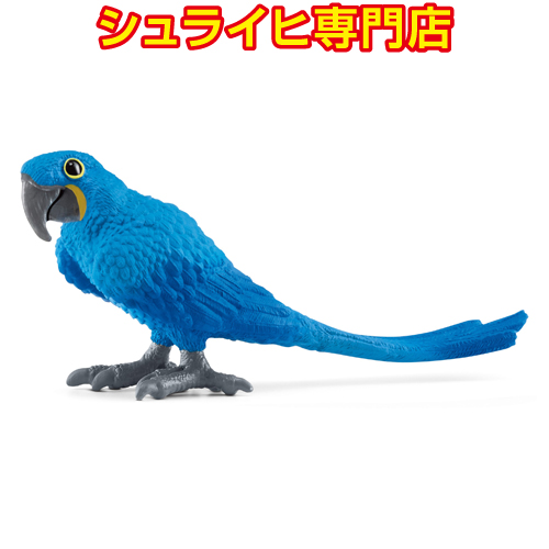シュライヒ専門店】シュライヒ コンゴウインコ 14737 動物