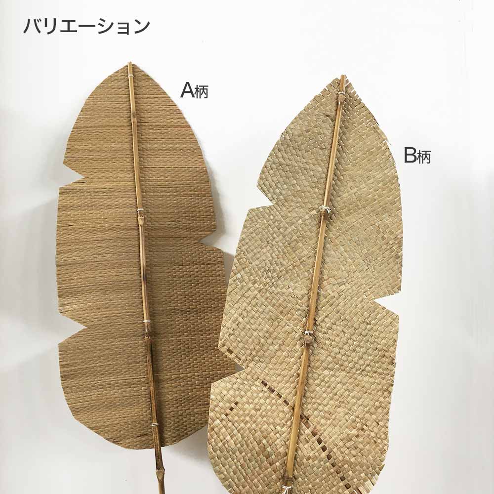 パンパス リーフ 編み込み ドライフラワー 同柄2本1セット ナチュラル