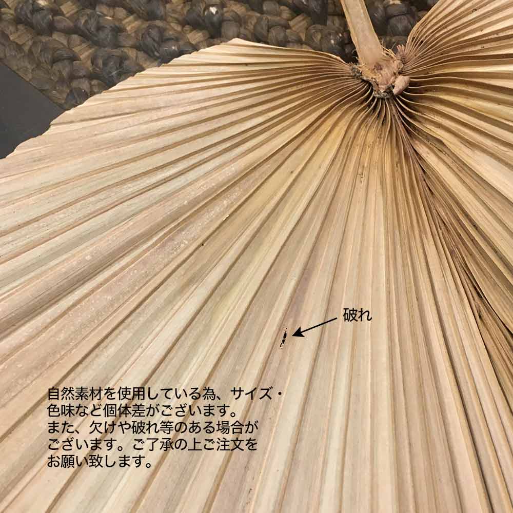 パームリーフ　絵  椰子　ヤシ　南国　63X83 パームリーフの絵 椰子の葉の絵 63X83 モダンリゾートインテリア