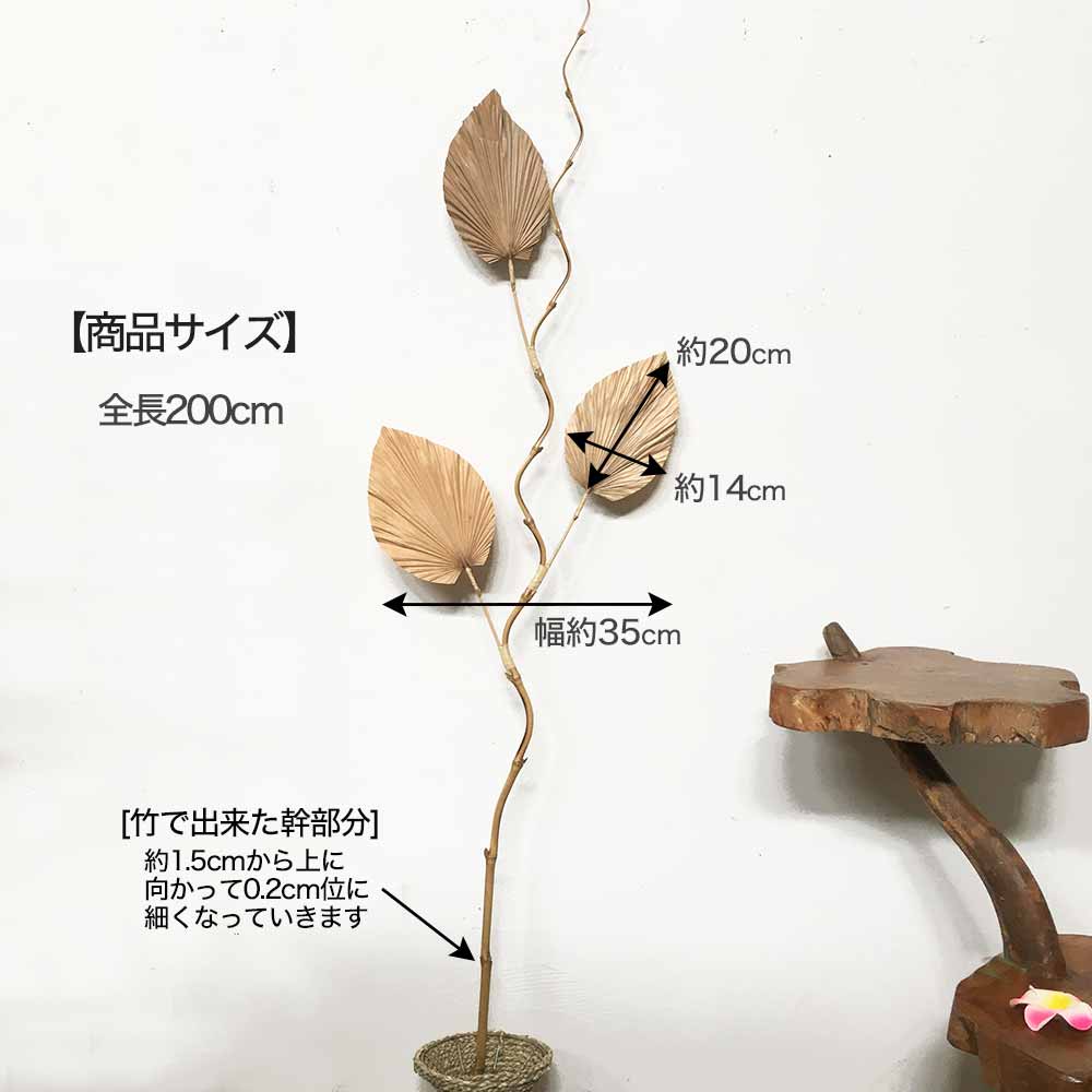 アジアン アートプランツ パームリーフ パルム 2本1セット 200cm