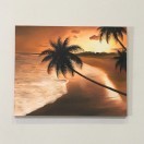 海の絵 ヤシの木 サンセット ビーチ 絵画 W50×H40cm (1170-3) 海 波の