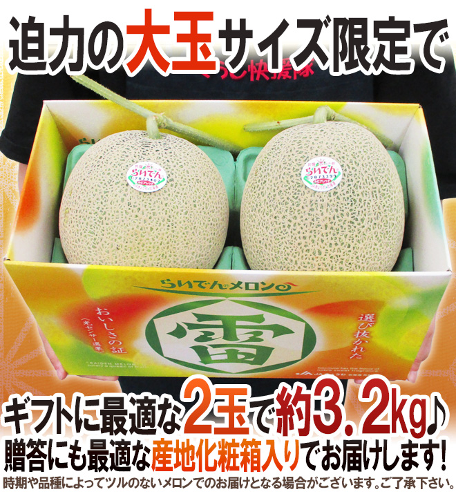 メロン 北海道 赤肉メロン ”らいでんレッドメロン” 2玉 約3.2kg 化粧箱