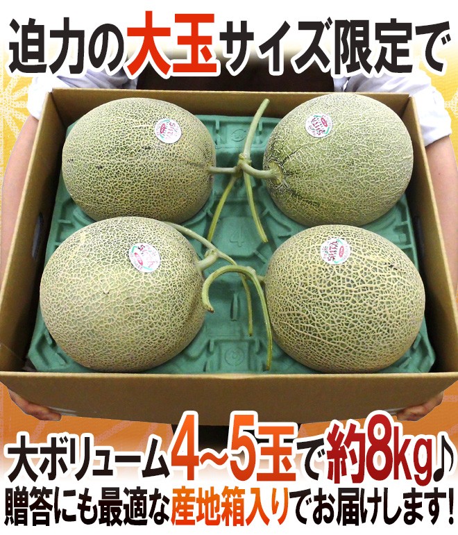 メロン 北海道 赤肉メロン ”らいでんレッドメロン” 優品 4〜5玉 約8kg 化粧箱【予約 9月以降】 送料無料