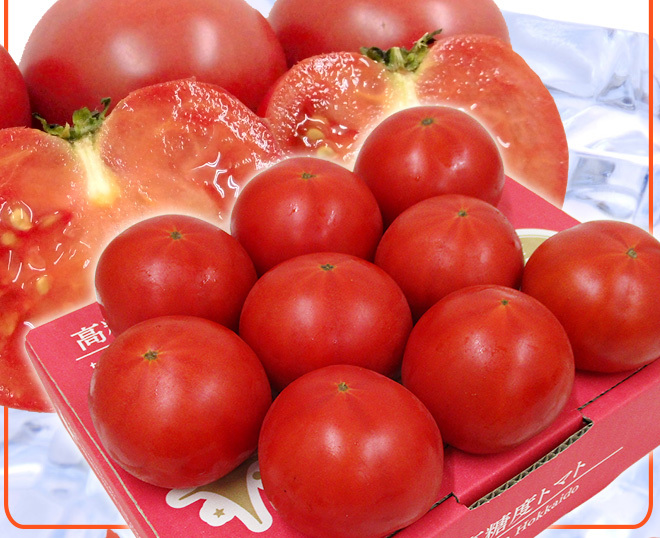 注目ブランド 幻のトマト 光1号 糖度9度以上 １kg箱 北海道産