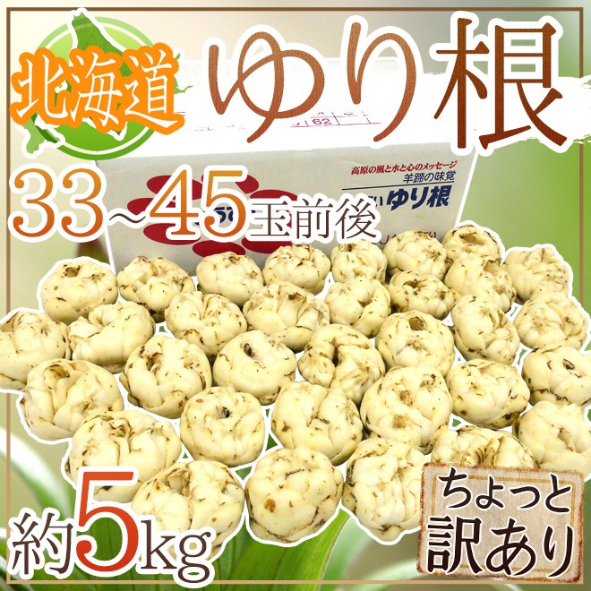 北海道産 ゆり根” ちょっと訳あり 33〜45玉 約5kg ゆりね【予約 11月