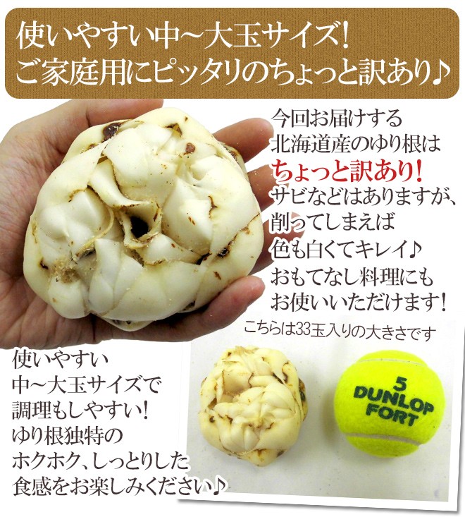 北海道産 ゆり根” ちょっと訳あり 33〜45玉 約5kg ゆりね【予約 11月