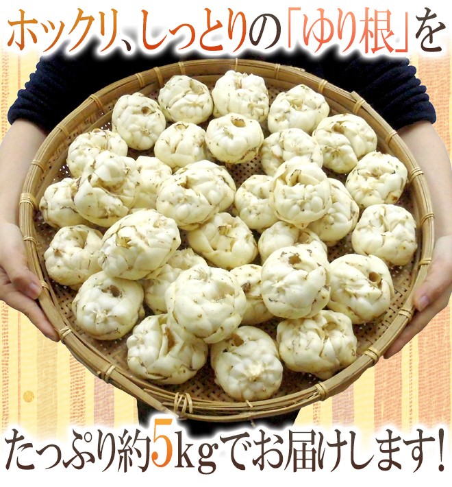 北海道産 ゆり根” ちょっと訳あり 33〜45玉 約5kg ゆりね【予約 11月