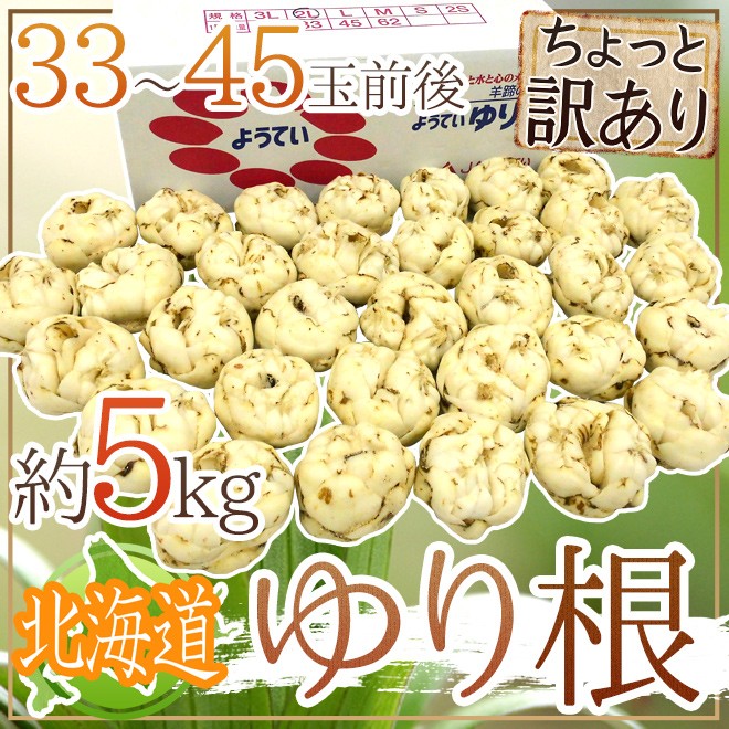 北海道産 ゆり根” ちょっと訳あり 33〜45玉 約5kg ゆりね【予約 11月